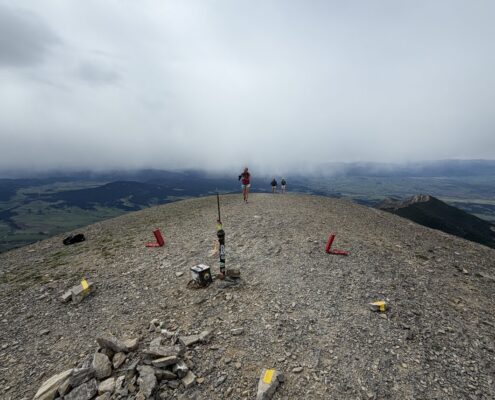 IMG_1154
